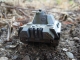 PantherG_02_0014