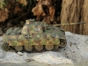 Panther_G_01
