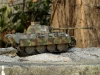 Panther_G_08