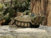 s_SdKfz251_22_D_04