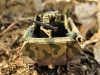 SdKfz2519_10