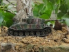 tiger1p_01