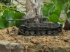 tiger1p_03